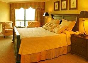 Hotel Magna 365 King bed